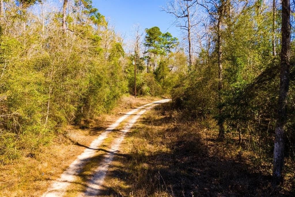 0.7 acres in Tyler County - photo 24
