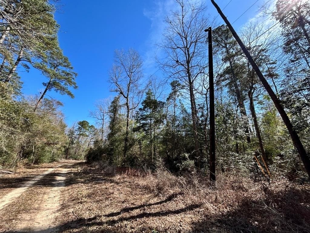 0.7 acres in Tyler County - photo 3