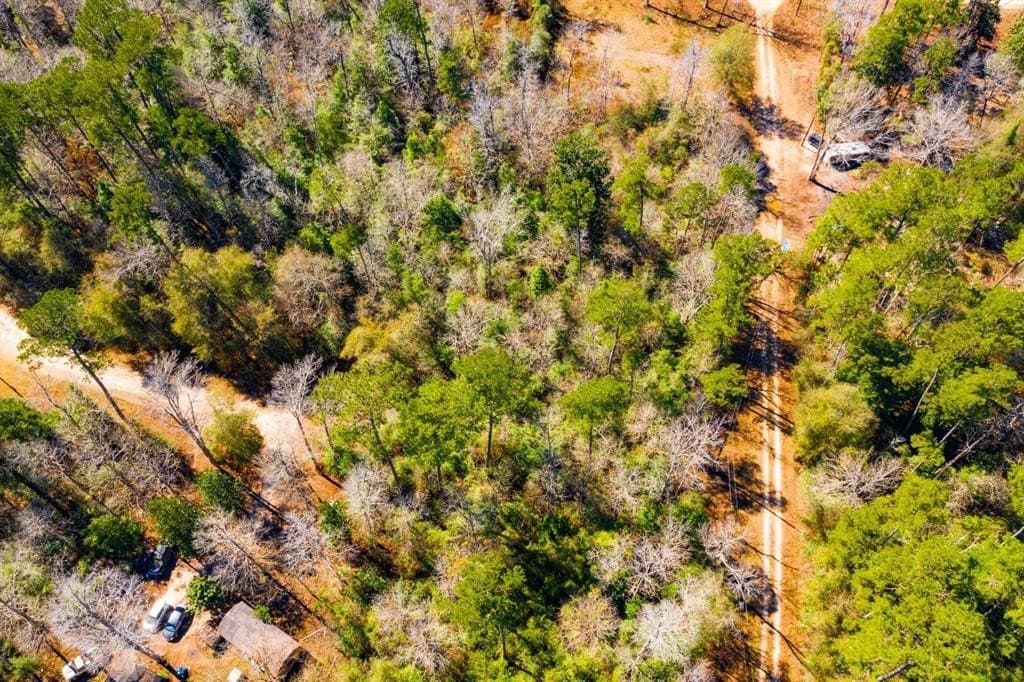 0.7 acres in Tyler County - photo 7