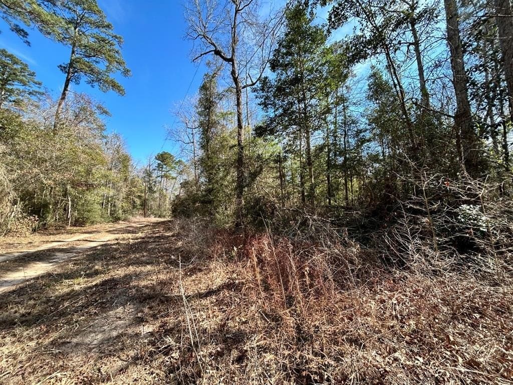 0.7 acres in Tyler County - photo 2