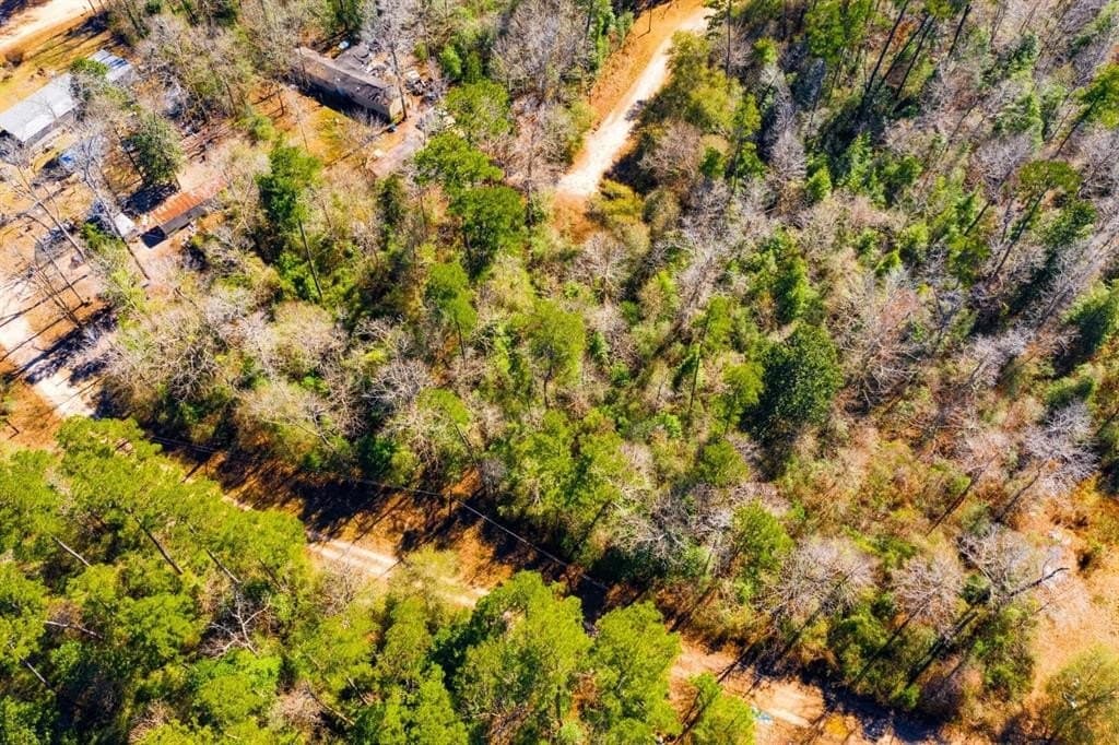 0.7 acres in Tyler County - photo 15