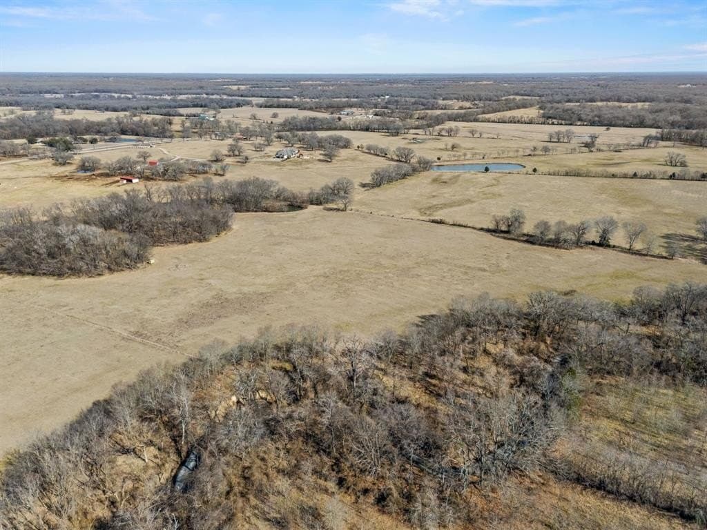 43 acres in Rains County - photo 4