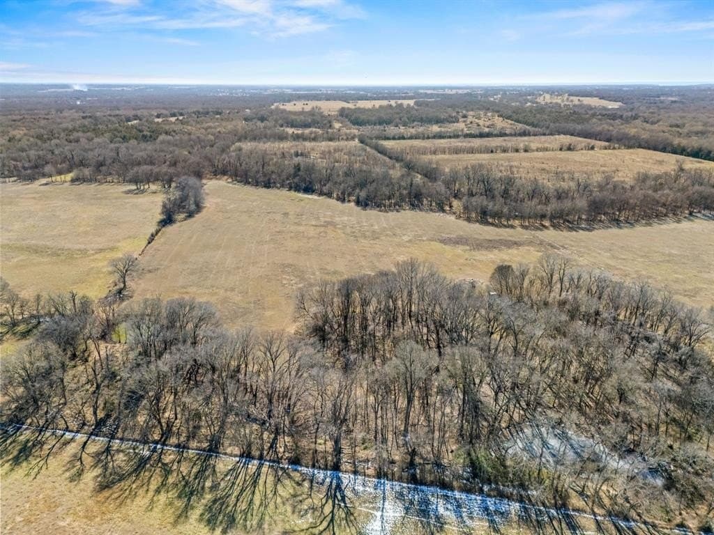 43 acres in Rains County - photo 5
