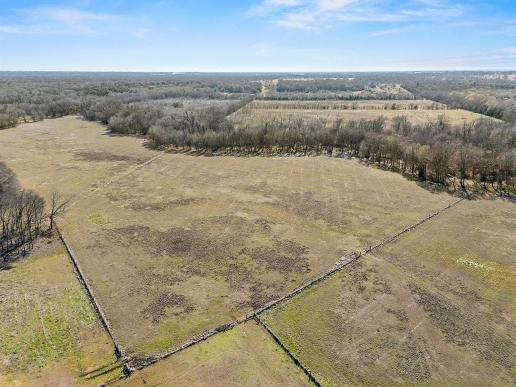 43 acres in Rains County - photo 11