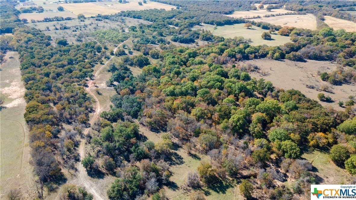 68.95 acres in Wise County - photo 5