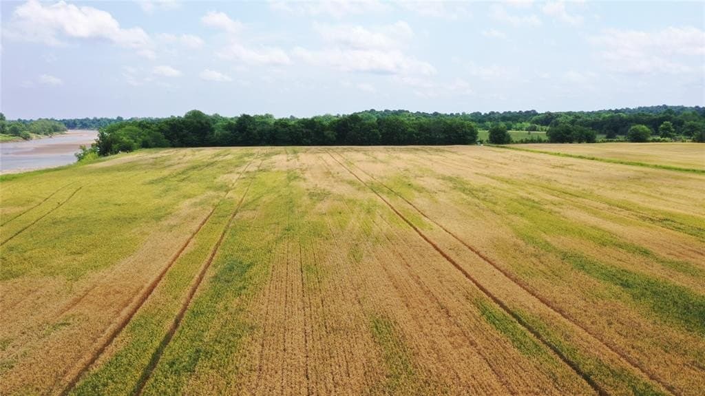 132.34 acres in Lamar County - photo 2