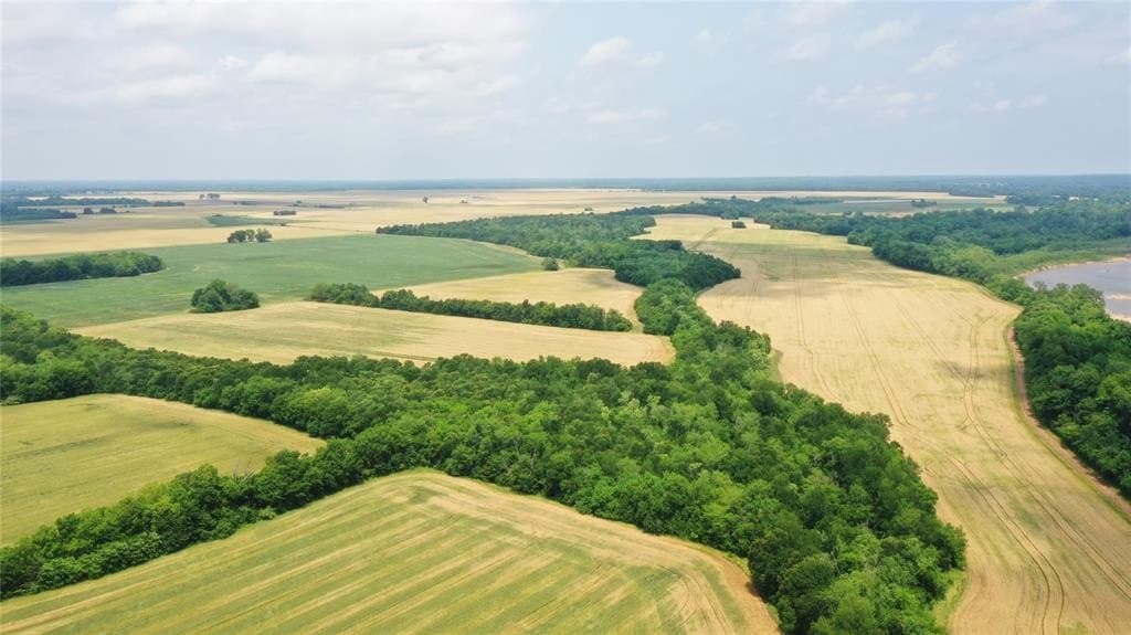 132.34 acres in Lamar County - photo 19
