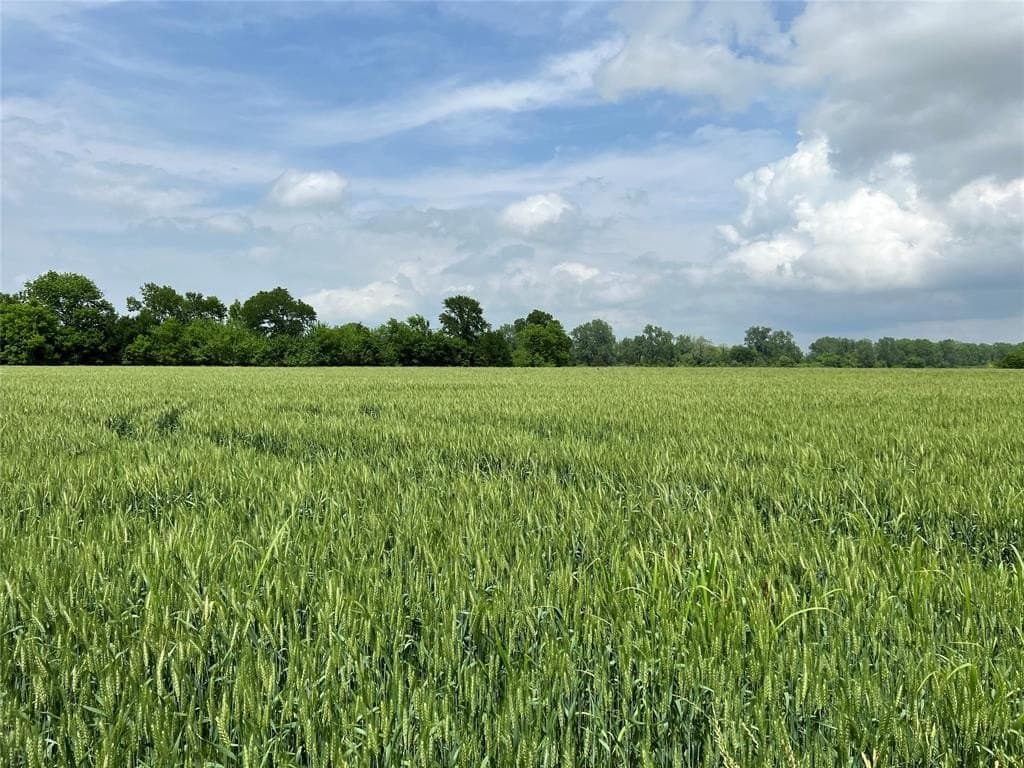 132.34 acres in Lamar County - photo 7