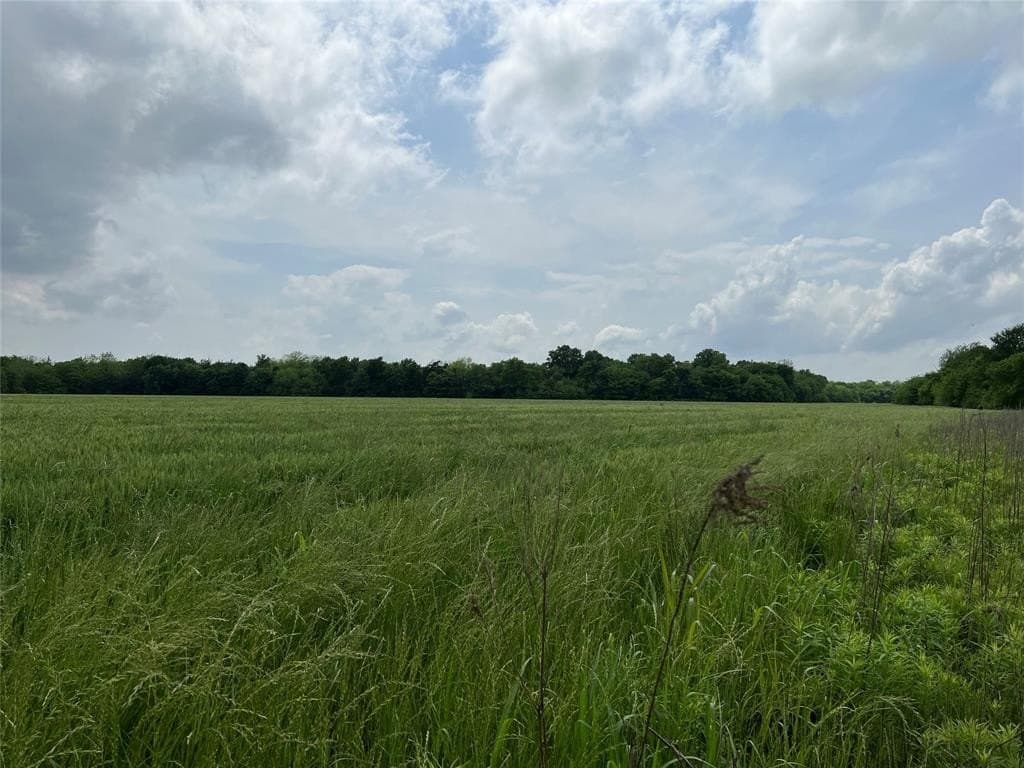 132.34 acres in Lamar County - photo 6