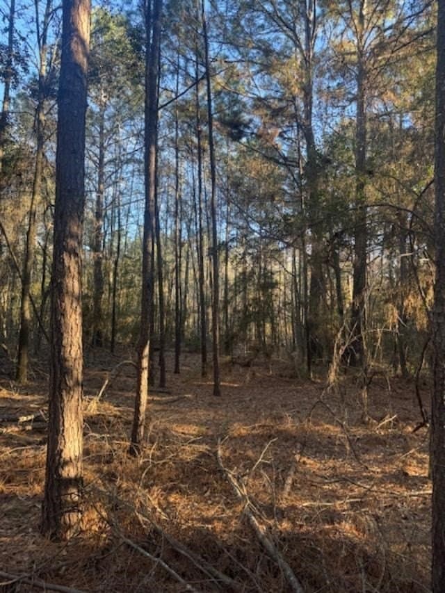 17.38 acres in ANDERSON County - photo 4