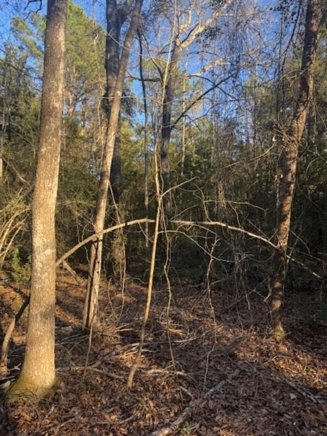 17.38 acres in ANDERSON County - photo 2