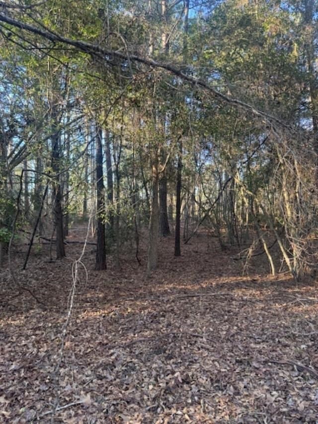 17.38 acres in ANDERSON County - photo 6