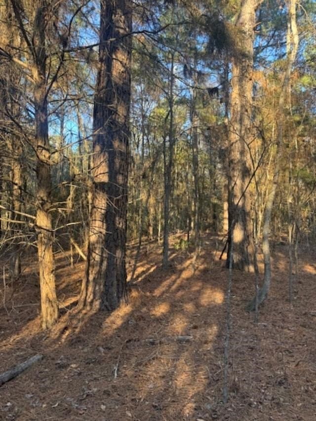 17.38 acres in ANDERSON County - photo 3