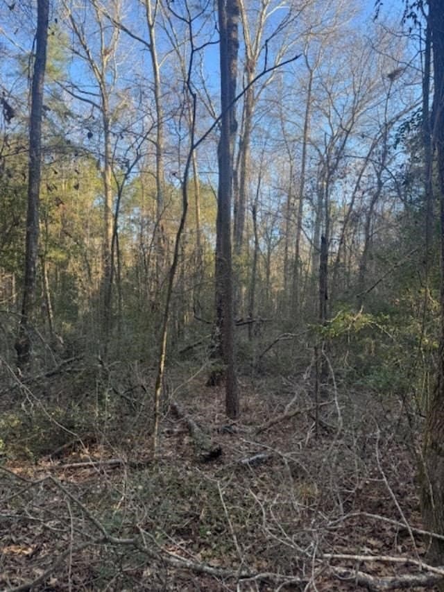 17.38 acres in ANDERSON County - photo 5