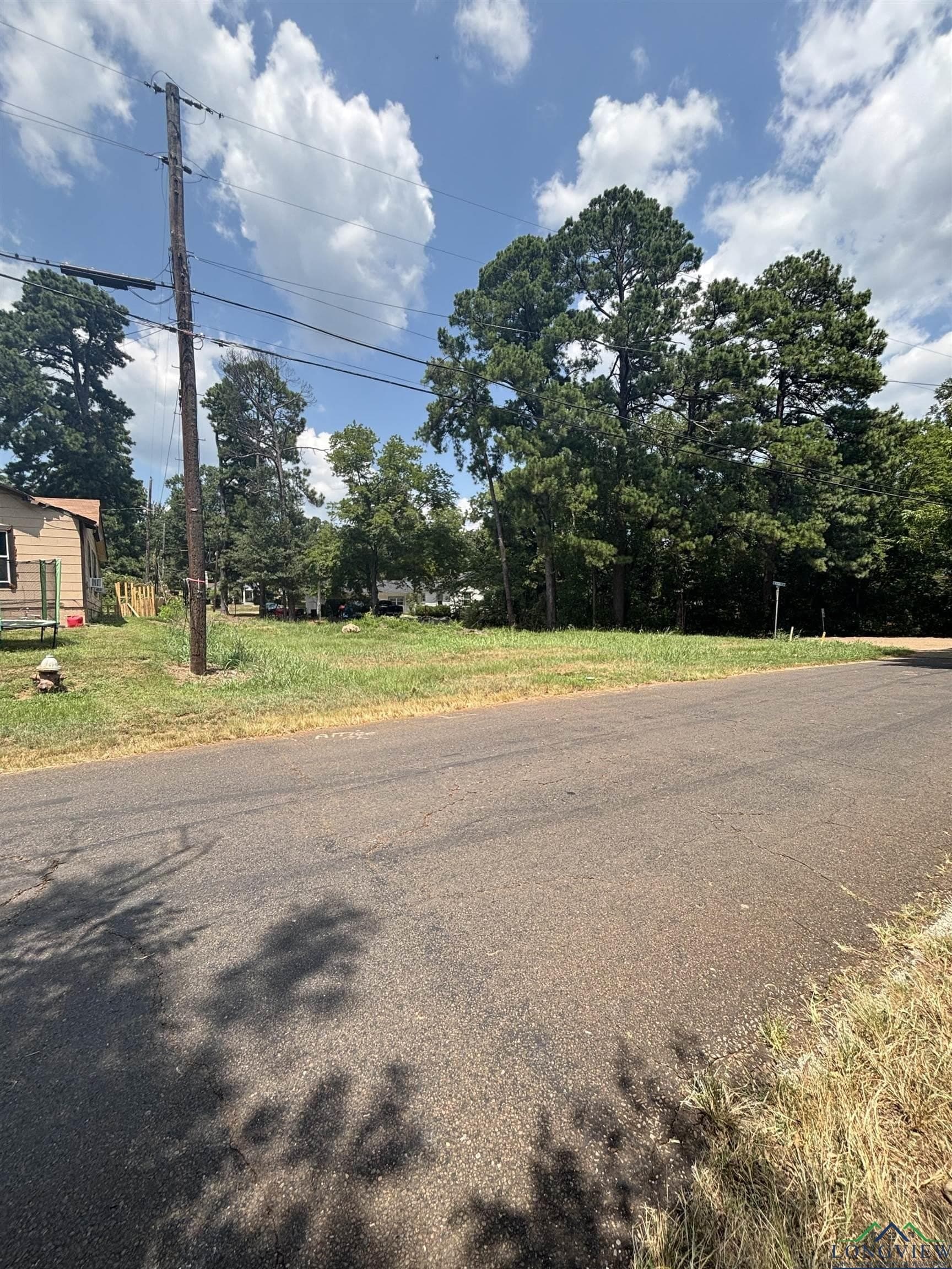 0.06 acres in Texas County - photo 2