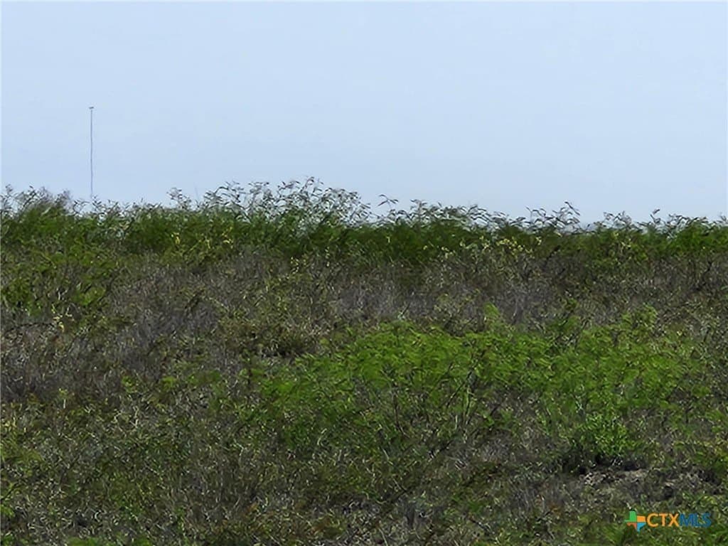 17.37 acres in Live Oak County - photo 5