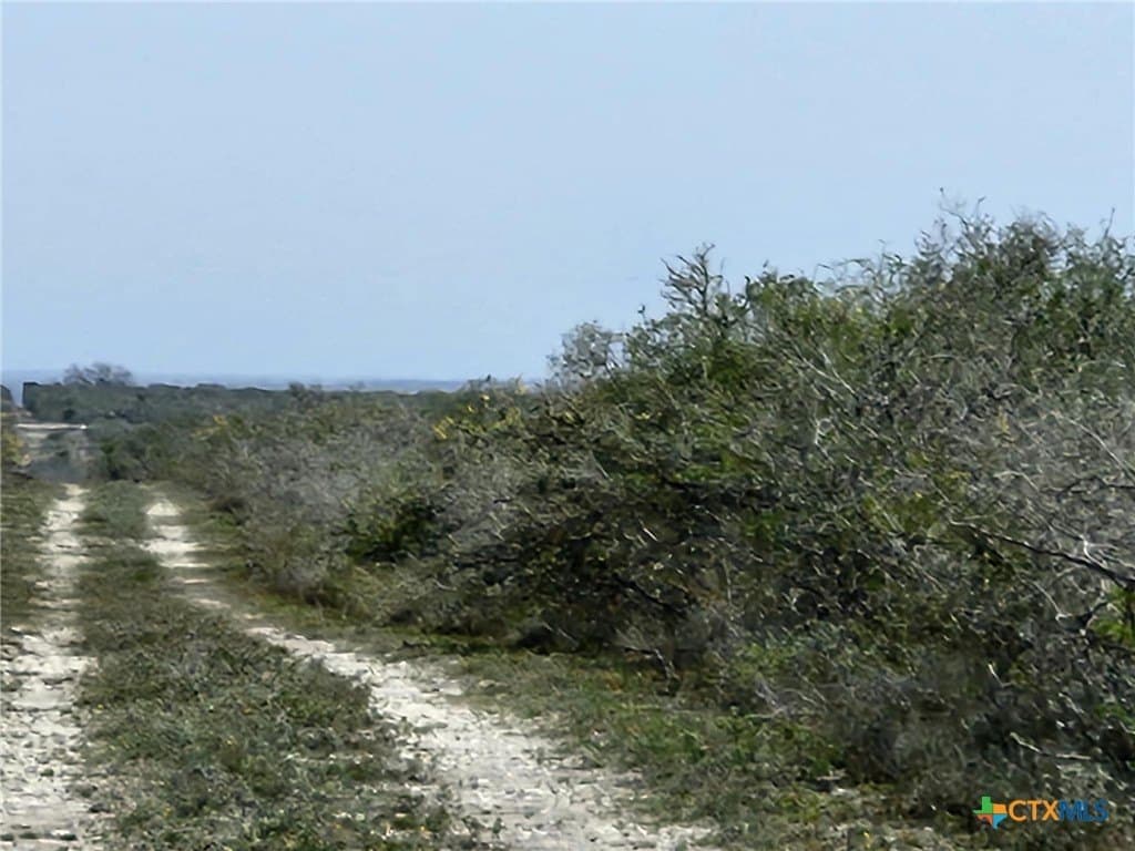 17.37 acres in Live Oak County - photo 6