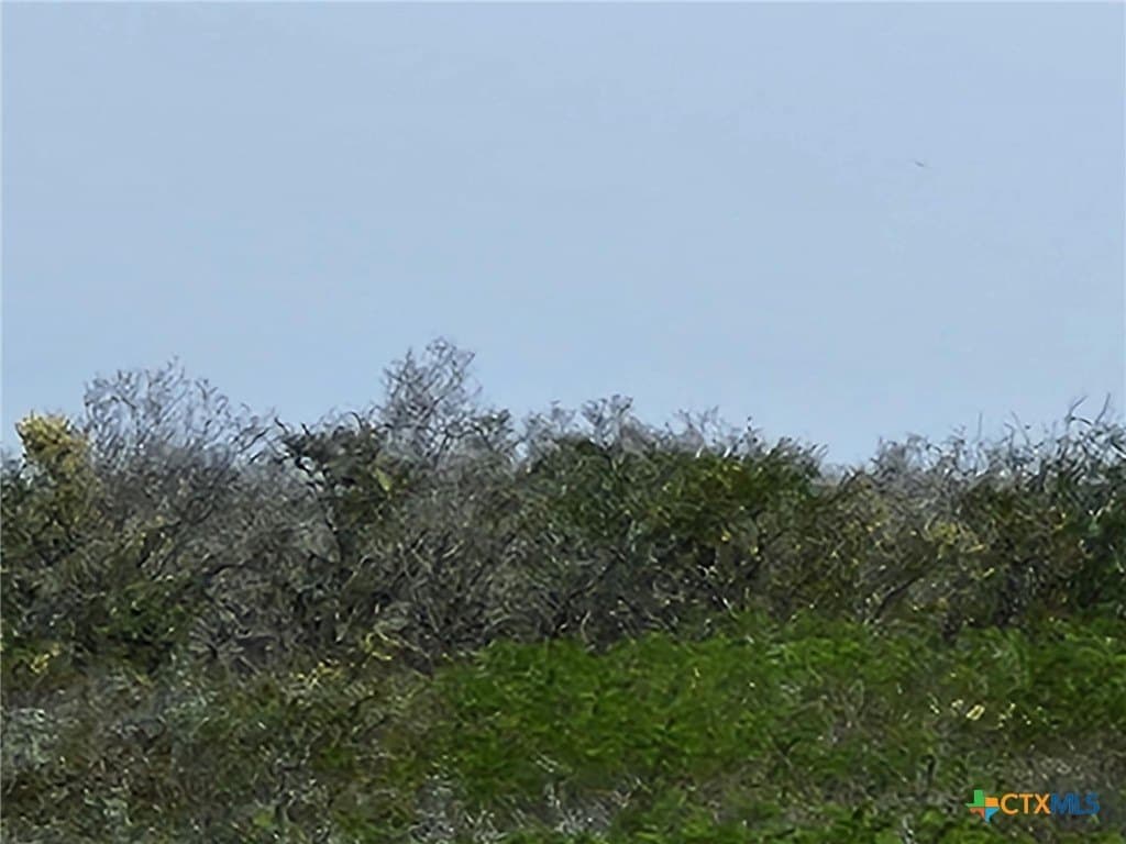Live Oak Spur