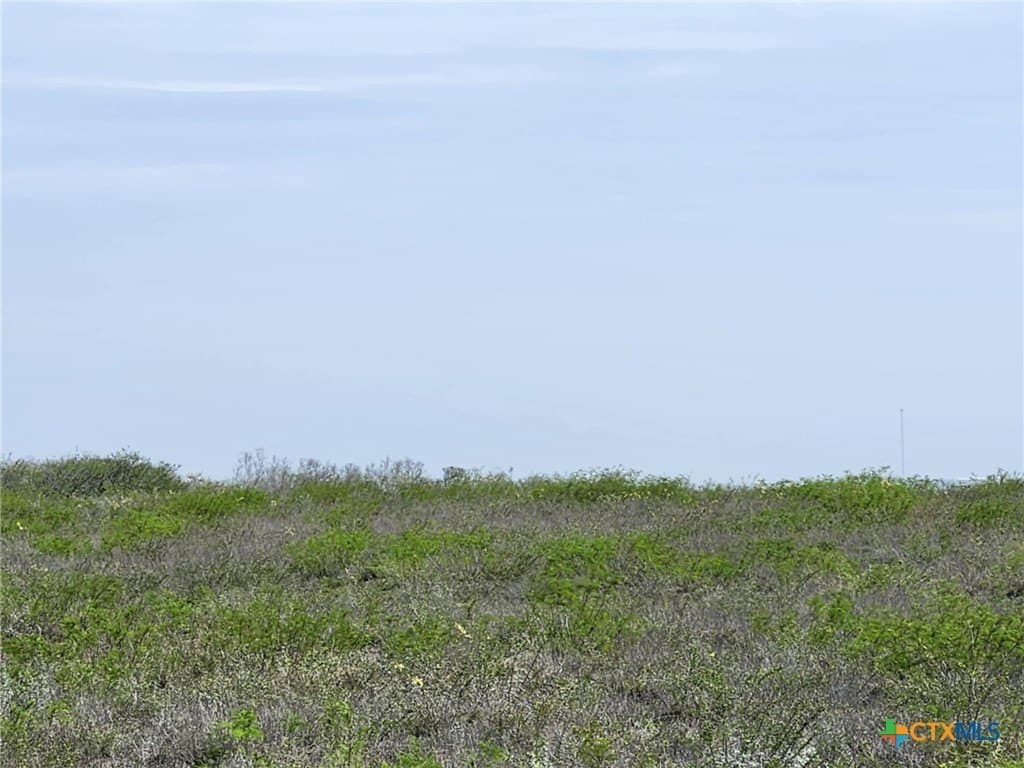 17.37 acres in Live Oak County - photo 3