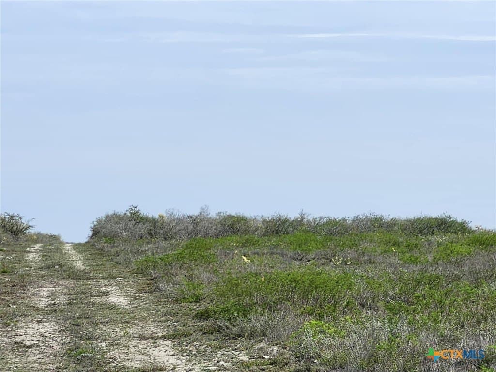 17.37 acres in Live Oak County - photo 4