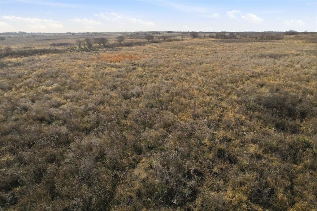 160 acres in Hardeman County - photo 5