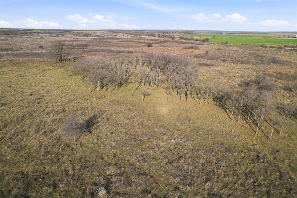160 acres in Hardeman County - photo 8