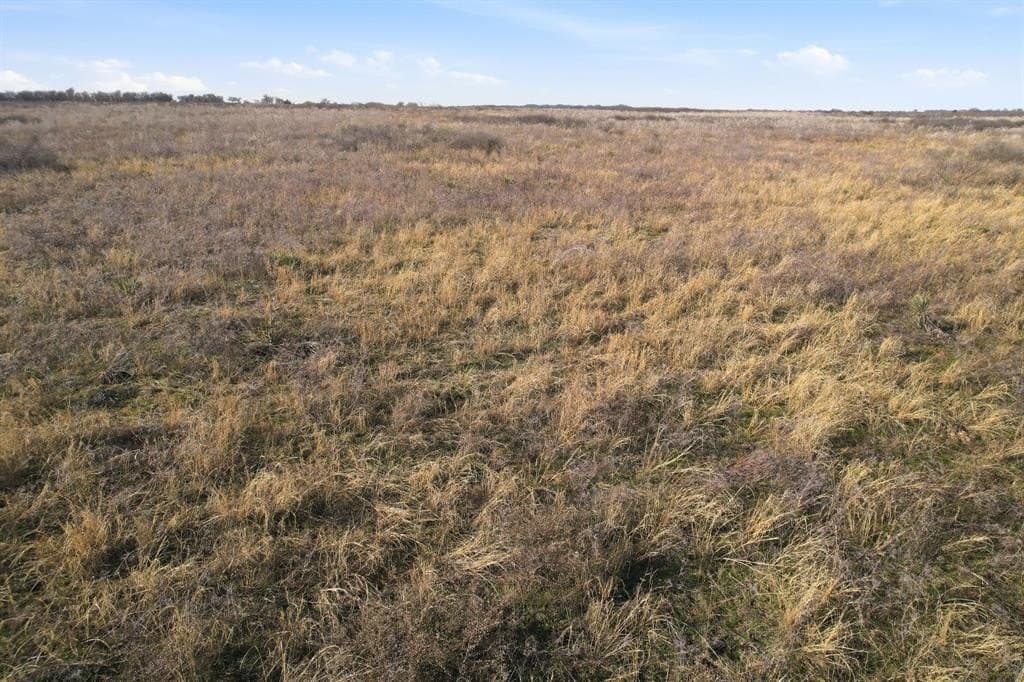 160 acres in Hardeman County - photo 11