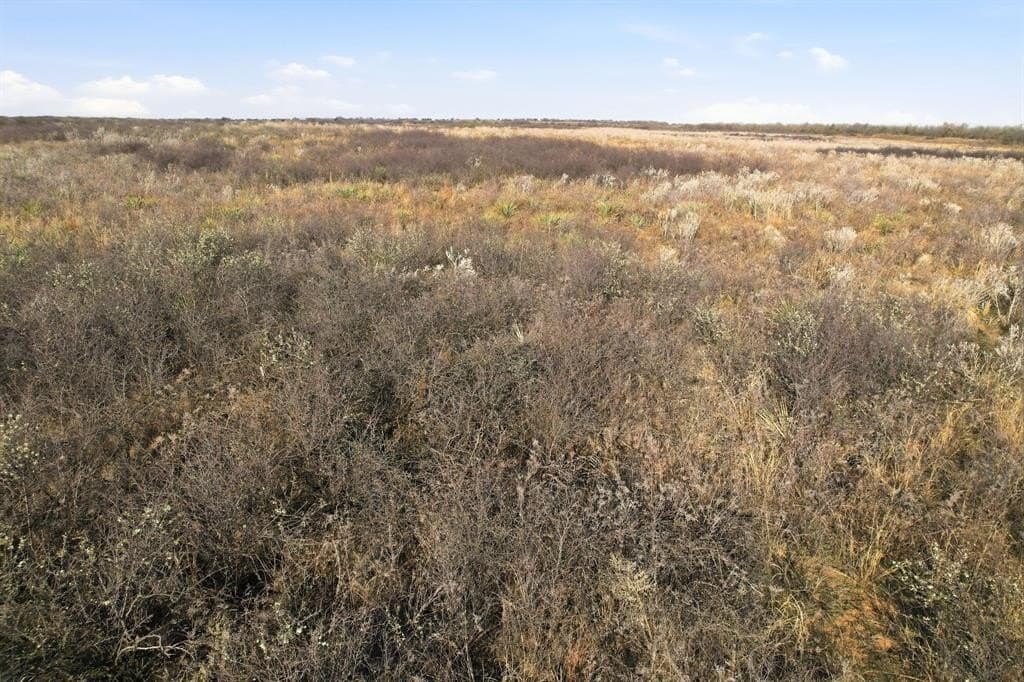 160 acres in Hardeman County - photo 9