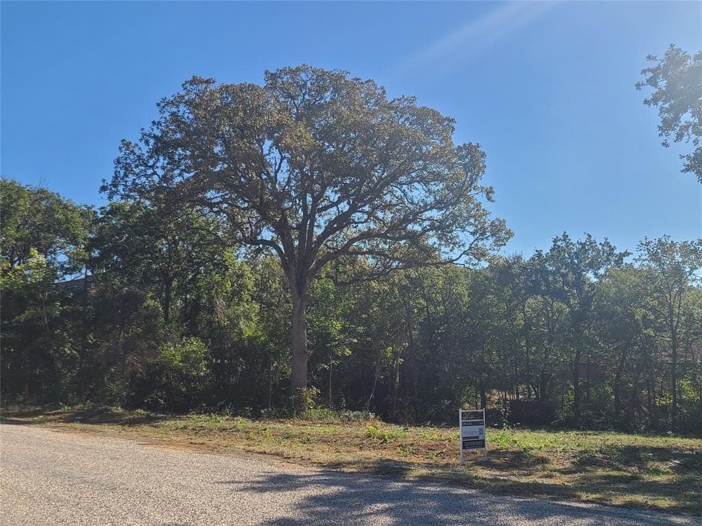 521 Bronco Trail
