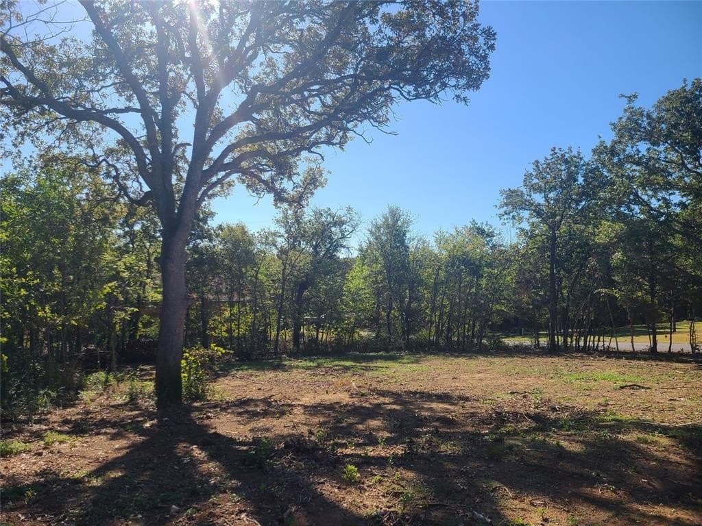 0.23 acres in Denton County - photo 9
