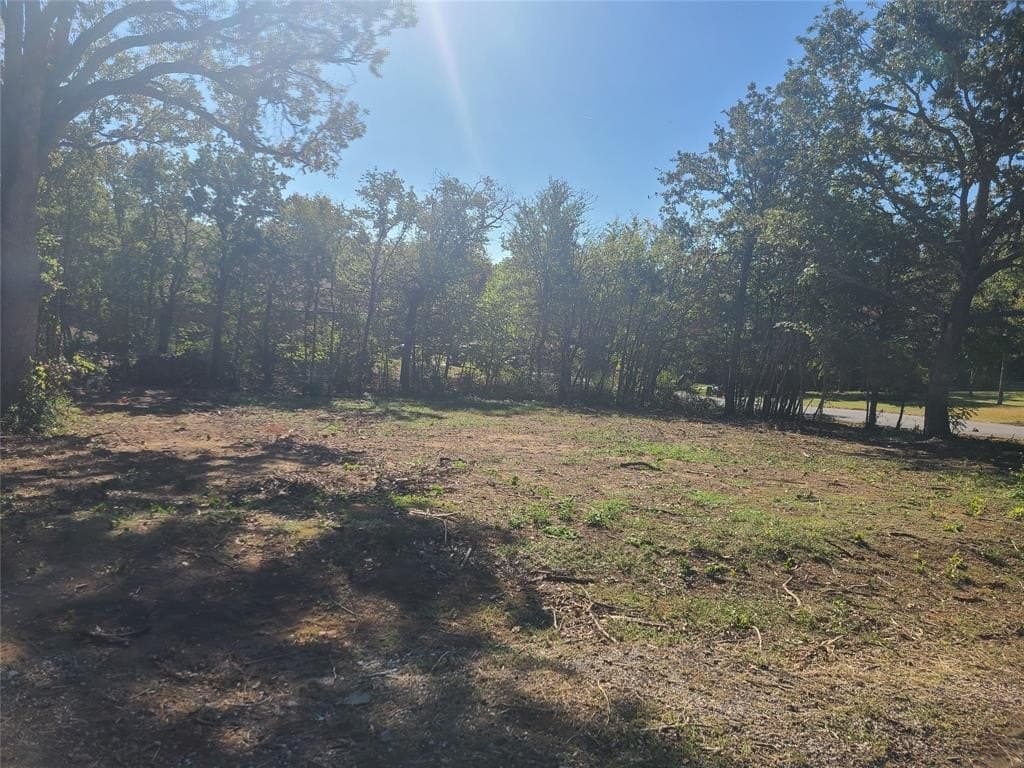 0.23 acres in Denton County - photo 4