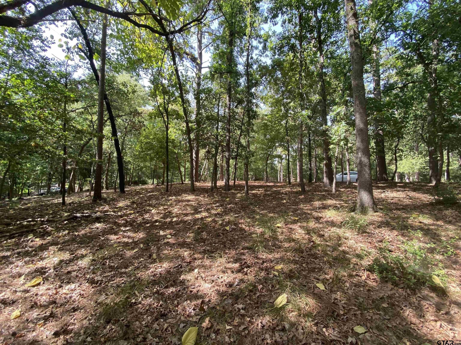 0.49 acres in Wood County - photo 3