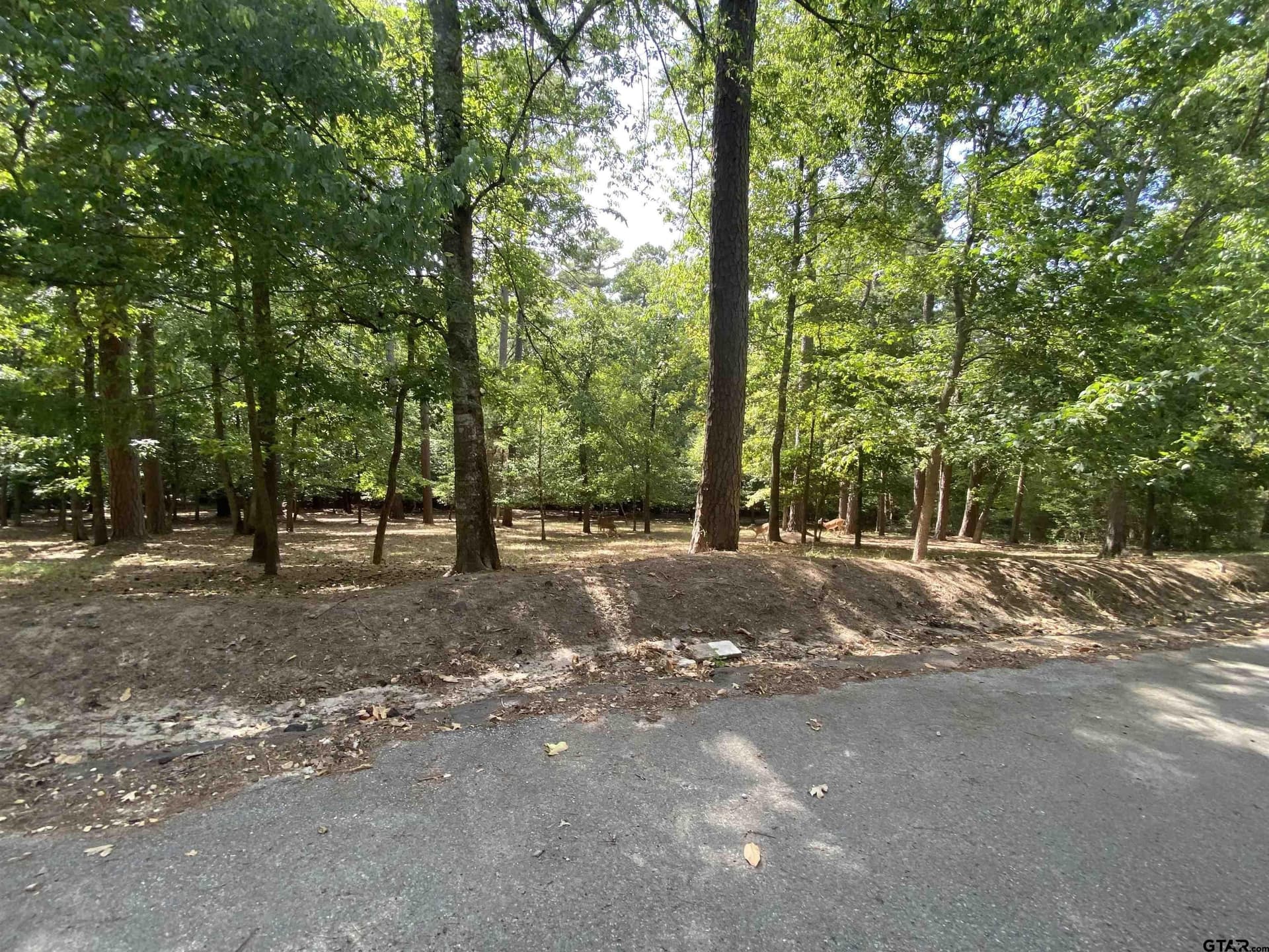 0.49 acres in Wood County - photo 5