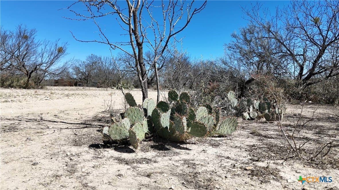 827 acres in Menard County - photo 17
