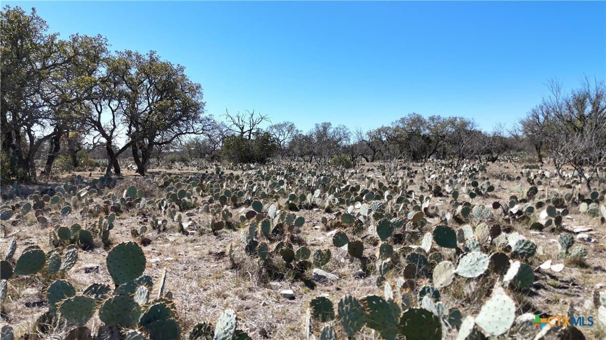 827 acres in Menard County - photo 16
