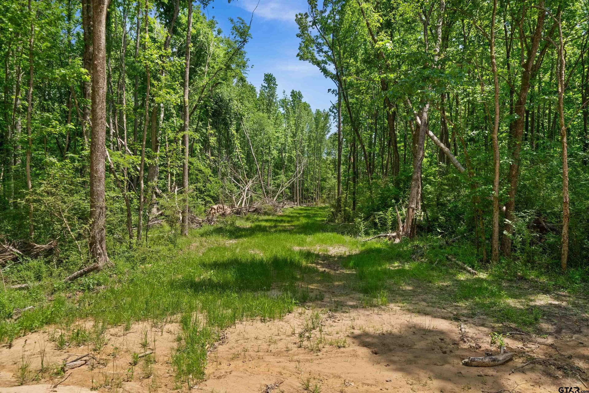 21.58 acres in Van Zandt County - photo 5