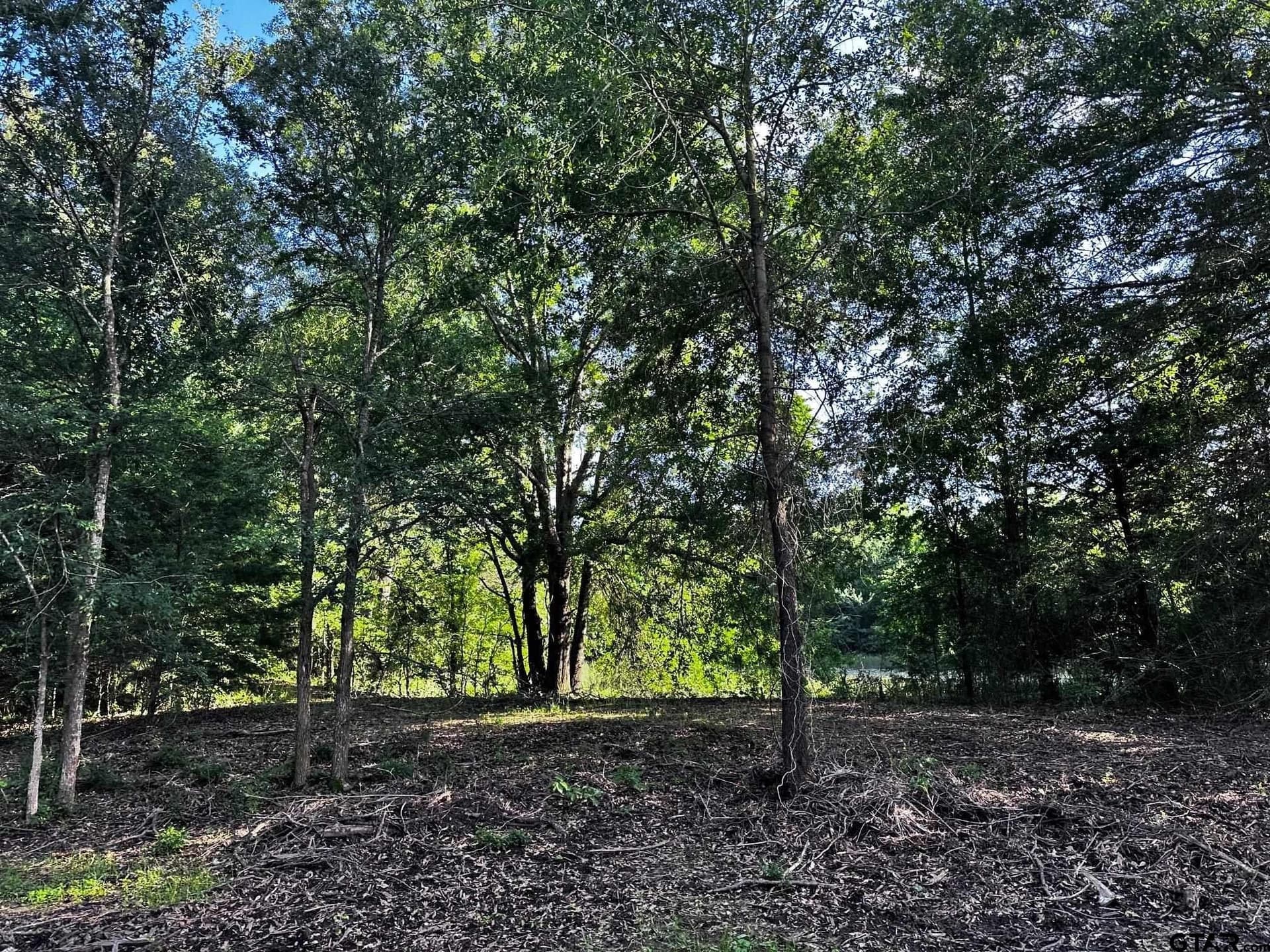 21.58 acres in Van Zandt County - photo 17