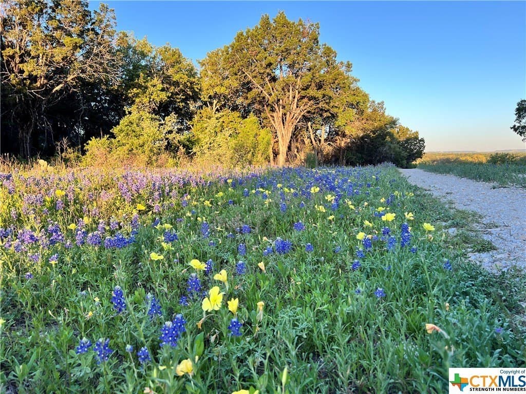 111 acres in Coryell County - photo 2