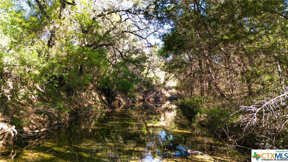 111 acres in Coryell County - photo 47