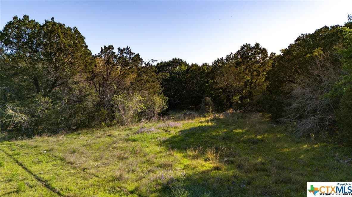 111 acres in Coryell County - photo 42