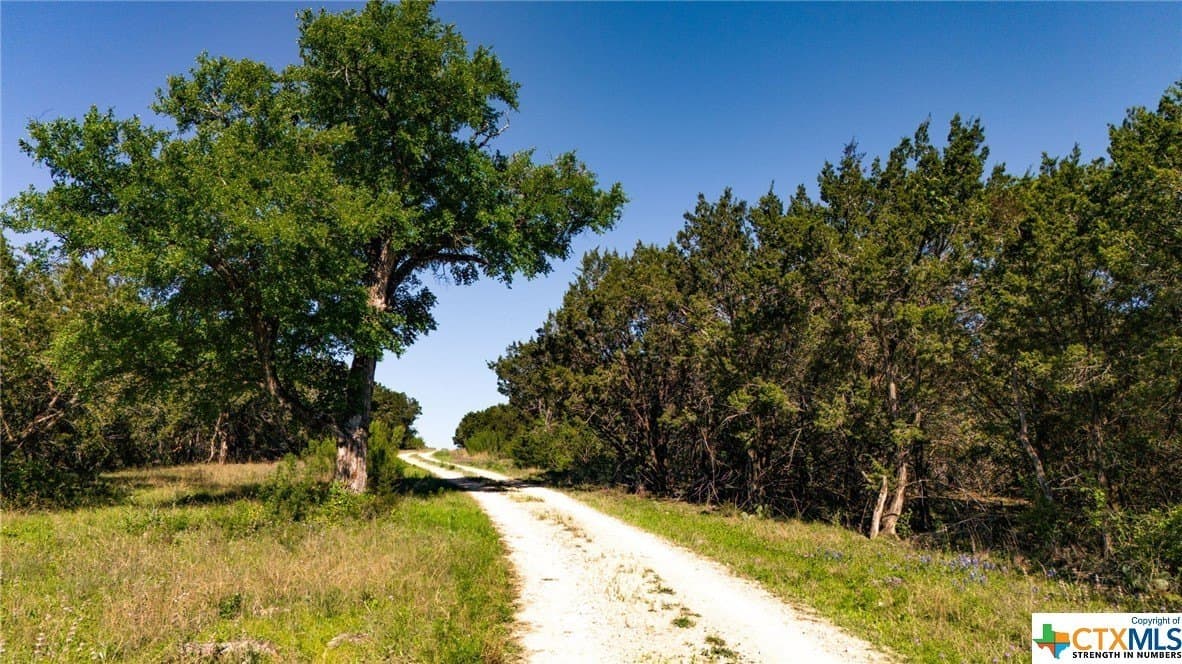 111 acres in Coryell County - photo 10