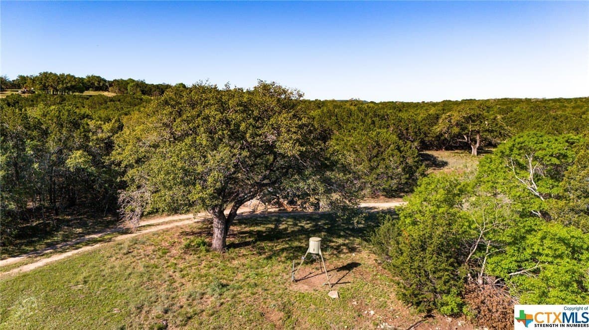 111 acres in Coryell County - photo 29