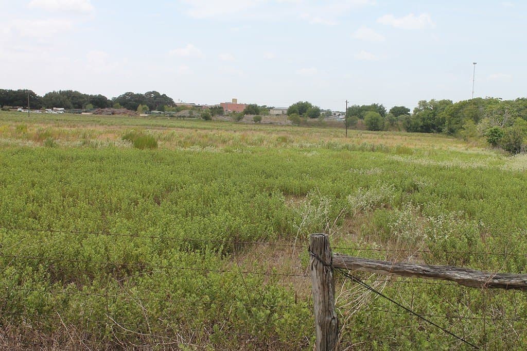 16.32 acres in Colorado County - photo 4