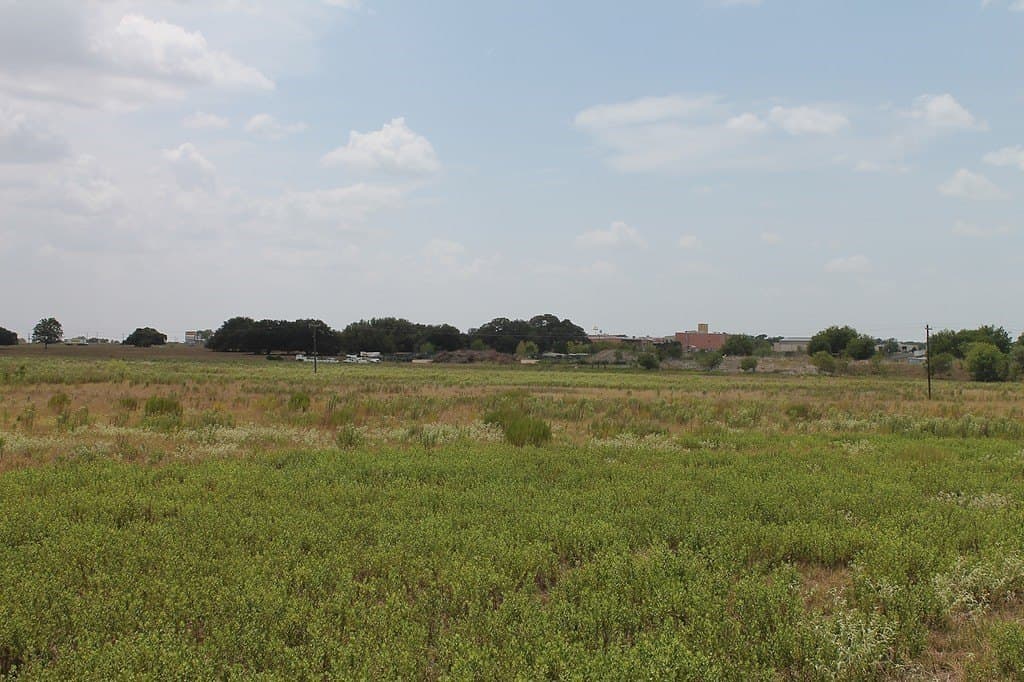 16.32 acres in Colorado County - photo 5