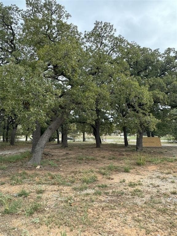 38 acres in Wise County - photo 20
