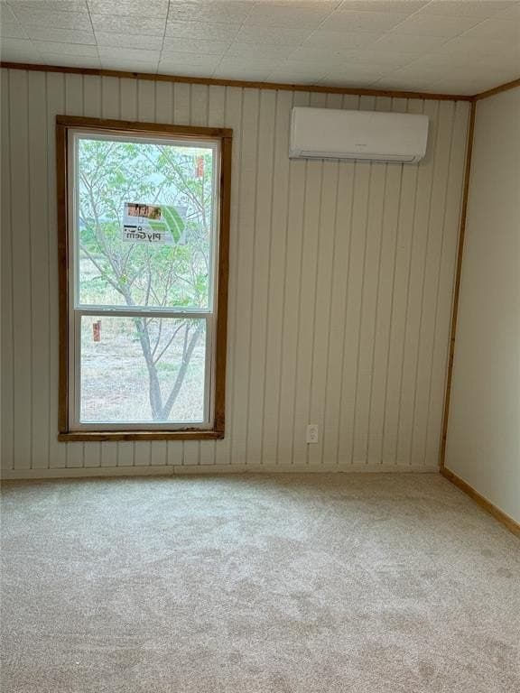 38 acres in Wise County - photo 7