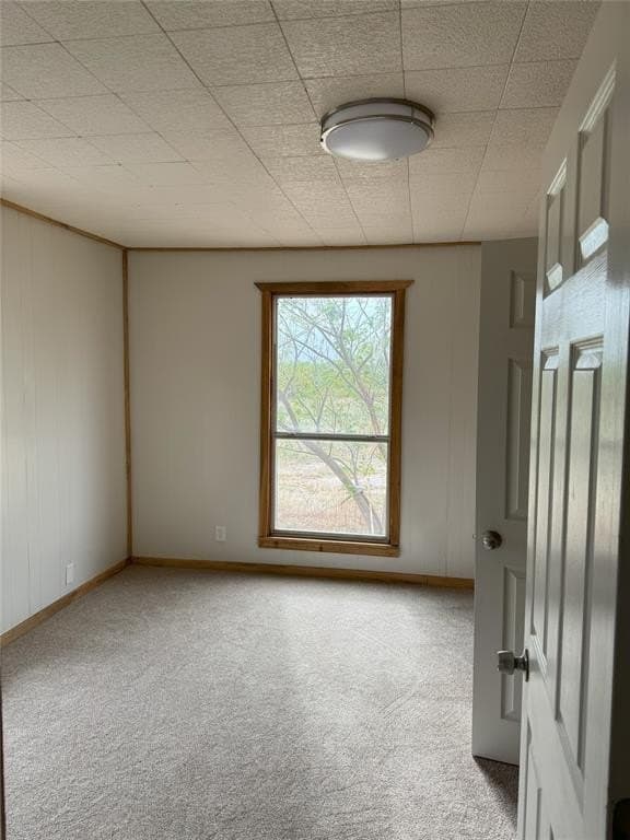38 acres in Wise County - photo 26