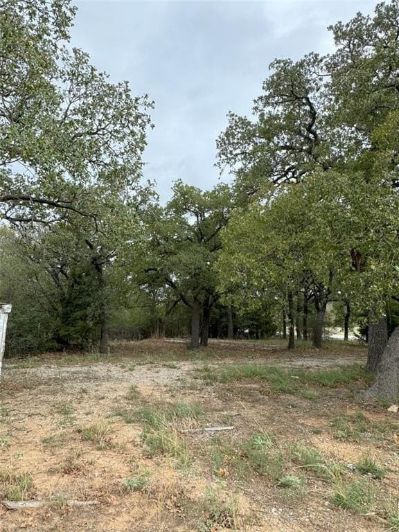 38 acres in Wise County - photo 19