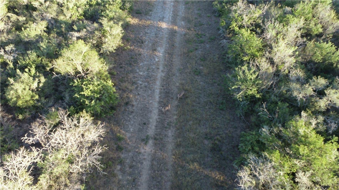 34.26 acres in Duval County - photo 20