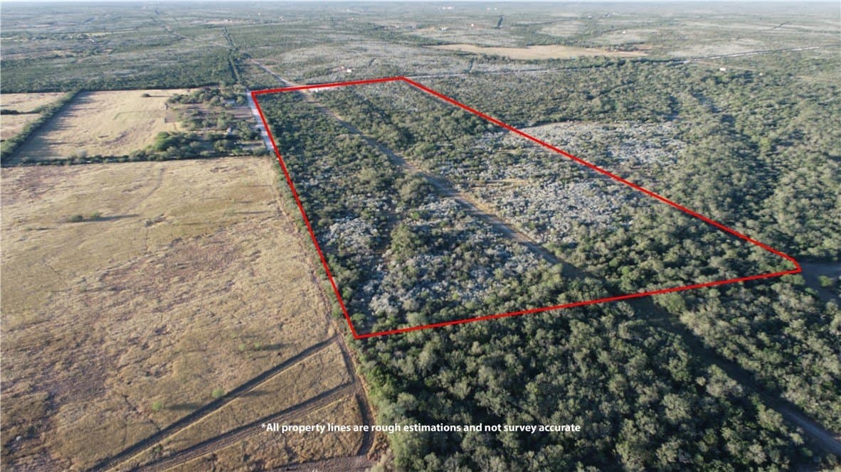 34.26 acres in Duval County - photo 9